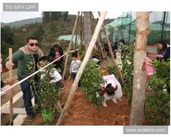 千赢体育优惠活动最新动态助你把握每一次赢取丰厚奖励的绝佳机会